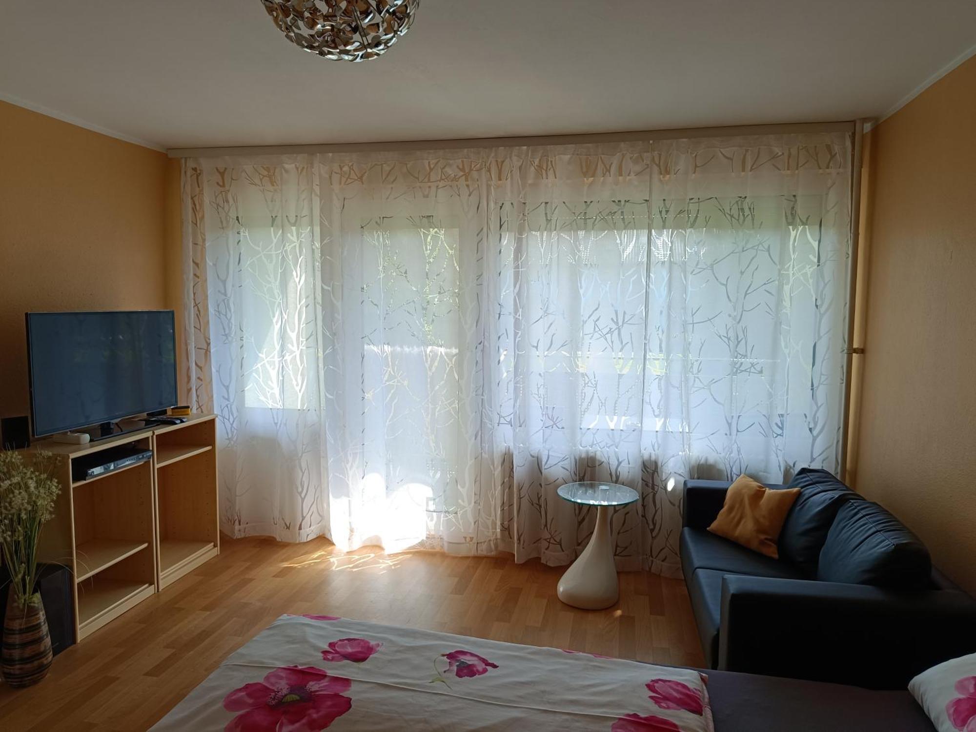 Offenburg Apartment エクステリア 写真