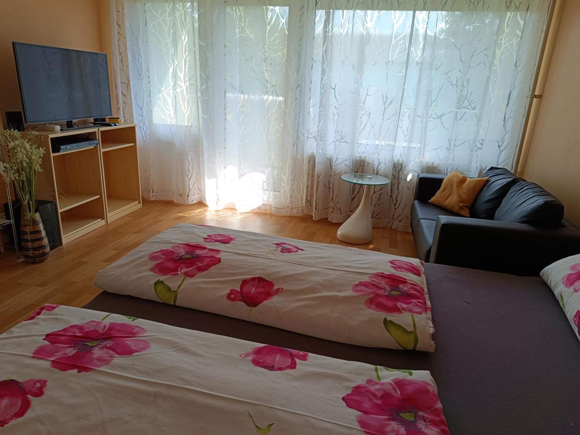 Offenburg Apartment エクステリア 写真