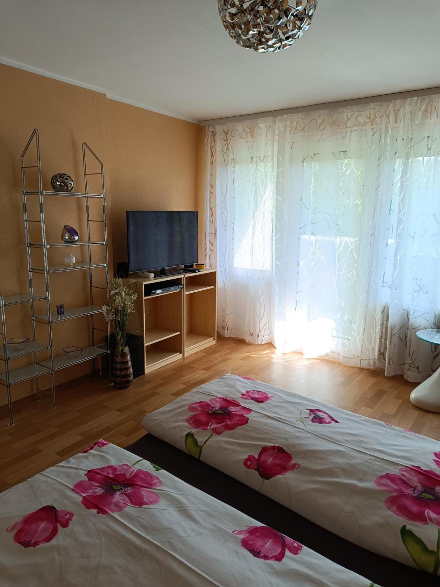 Offenburg Apartment エクステリア 写真