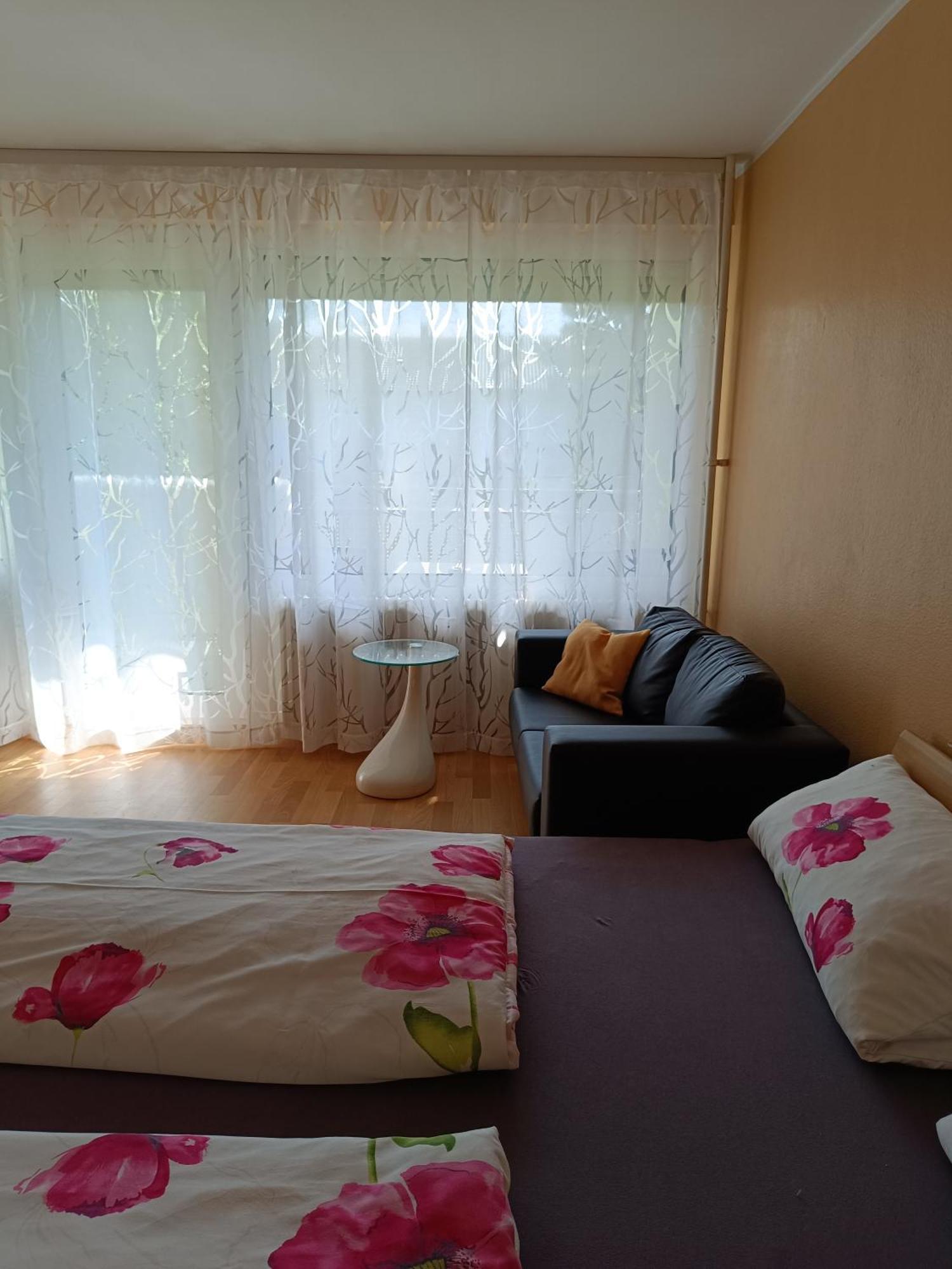 Offenburg Apartment エクステリア 写真